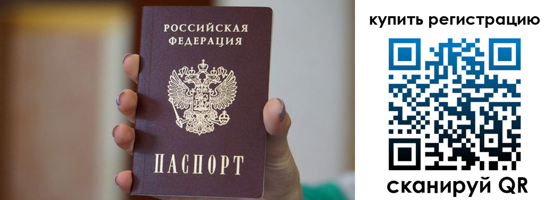 прописка в Жукове